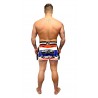 Thaï Short Lion Brave Art