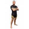 T-shirt Brave Art Fast Dry BG Nera & Oro – TSBGBA