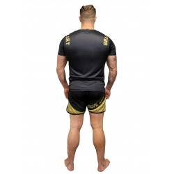 Brave Art Fast Dry BG T-Shirt Schwarz & Gold – TSBGBA