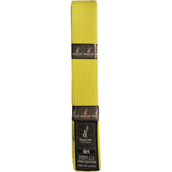 Brave Art Kids BJJ Belt...