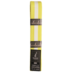 Brave Art Kids BJJ Belt...