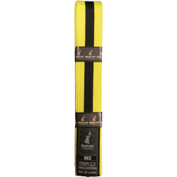 Brave Art Kids BJJ Belt...