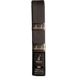 Brave Art Kids BJJ Belt...