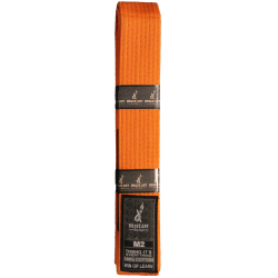 Brave Art Kids Belt Orange...