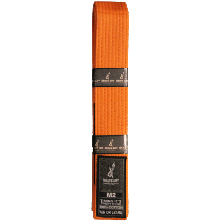 Brave Art Kids Belt Orange – BACBKO
