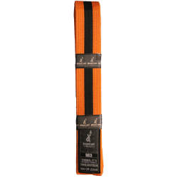 Brave Art Kids Belt – BACBKOB