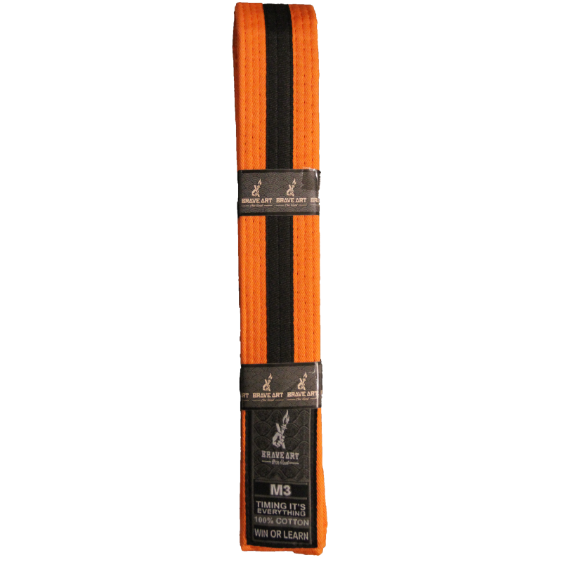 Brave Art Kids Belt – BACBKOB