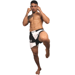 Short de MMA Vale Tudo Brave Art - BASHVT23