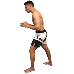 Short de MMA Vale Tudo Brave Art - BASHVT23