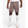 Tottenham Hotspur Strike 3e tenue Short de foot en maille Nike Dri-FIT pour homme