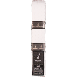 Kids BJJ White Belt Brave...