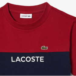 T-shirt enfant color-block Lacoste en jersey de coton biologique