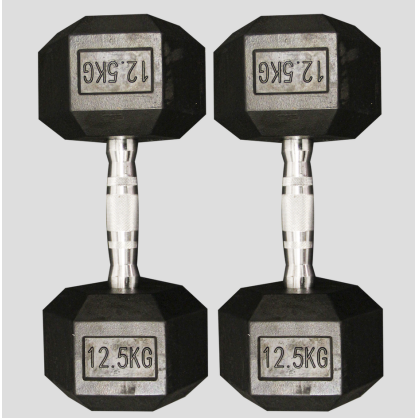 Hex Dumbbell 12,5 kg – Haltère hexagonal anti-roulement, prise ergonomique, revêtement protecteur