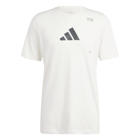 Adidas AEROREADY Graphic T-Shirt – Training, Comfort & Style - IS2363