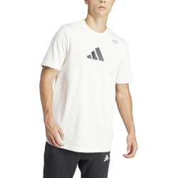 Adidas AEROREADY Graphic T-Shirt – Training, Comfort & Style - IS2363