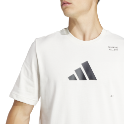 Adidas AEROREADY Graphic T-Shirt – Training, Comfort & Style - IS2363