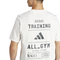 Adidas AEROREADY Graphic T-Shirt – Training, Comfort & Style - IS2363