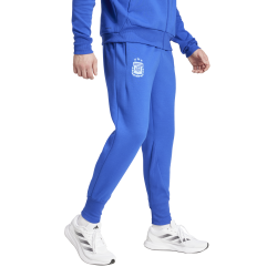 Adidas FZHD Argentina – Pantaloni da Viaggio Ufficiali con Stemma Ricamato - IU2152