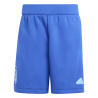 adidas Argentinien Reisesshorts – IU2150