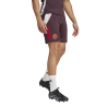Adidas FC Bayern Tiro 24 Training Shorts – IS9949