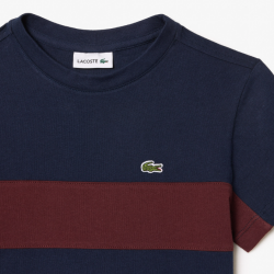 T-Shirt coton bande contrasté Lacoste