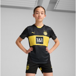 Borussia Dortmund Away...