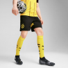 Short Ufficiale Borussia Dortmund Uomo 24/25 – Puma – 774977_02