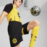 Borussia Dortmund Men’s Official Shorts 24/25 – Puma – 774977_02