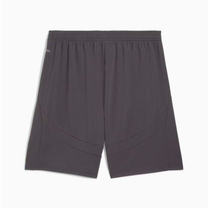 Short AC Milan 24/25 Homme Puma – Officiel, dryCELL, Coupe Confortable