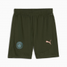 Manchester City Men's Training Shorts – Puma – 777550_13