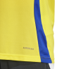 Maillot Domicile Al Nassr FC 24/25 Ronaldo Adidas