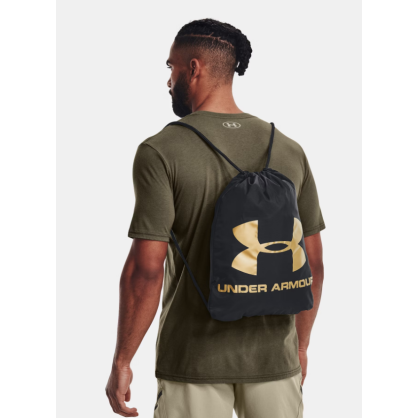 Sac UA Ozsee Noir – Léger, Déperlant & Compact | 1240539-010