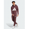 Completo Felpa con Cappuccio Grand Logo – Rubino Aurora (Adidas JI8867)