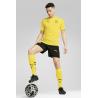 Borussia Dortmund 24/25 Men's Official Shorts – Puma – 777626_02