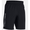 Boys' UA Tech™ Woven Wordmark Shorts – Lightweight & Quick-Drying