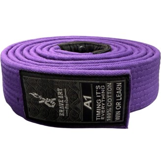 Brave Art BJJ Purple Belt – Progress, Strength & Tradition