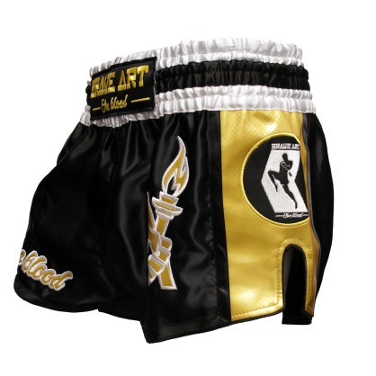 Brave Art Muay Thai Shorts Black & Gold – BATHSHG – Power & Elegance