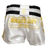 Brave Art Muay Thai Shorts White & Gold – Style & Power