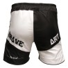 Brave Art Vale Tudo MMA Shorts – BASHVT23 | Freedom of Movement & Global Combat Heritage