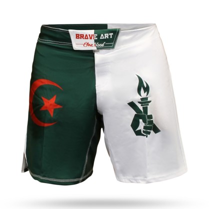 Brave Art MMA Shorts DZMSM | Algerian Colors Inspired | Official Shop