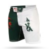 Brave Art MMA Shorts DZMSM | Algerian Colors Inspired | Official Shop
