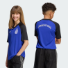 Argentina AFA Pre-Match Youth Jersey Adidas JY9539
