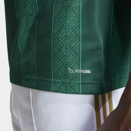 Maillot Extérieur Afrique du Sud 2026 adidas KY2217 Vert