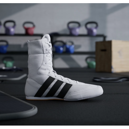 Chaussures Boxe adidas Box Hog Classic JS4436