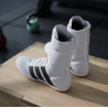 Chaussures Boxe adidas Box Hog Classic JS4436
