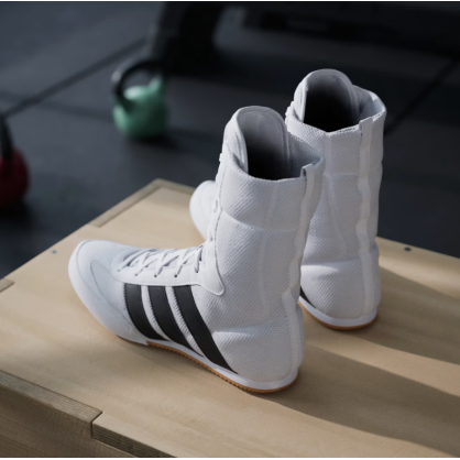 Chaussures Boxe adidas Box Hog Classic JS4436