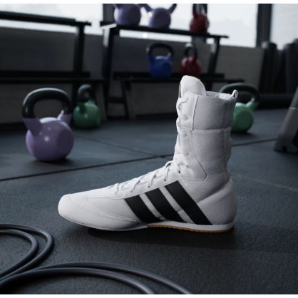 Chaussures Boxe adidas Box Hog Classic JS4436