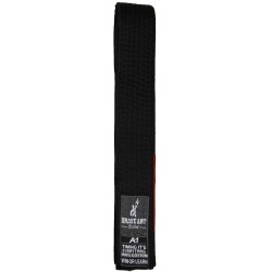 Ceinture Noir de Jiu Jitsu Brésilien Brave Art