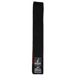 Ceinture Noir de Jiu Jitsu Brésilien Brave Art