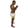 Brave Art Muay Thai Shorts Gold – Weiß & Gold – BATHSHWG